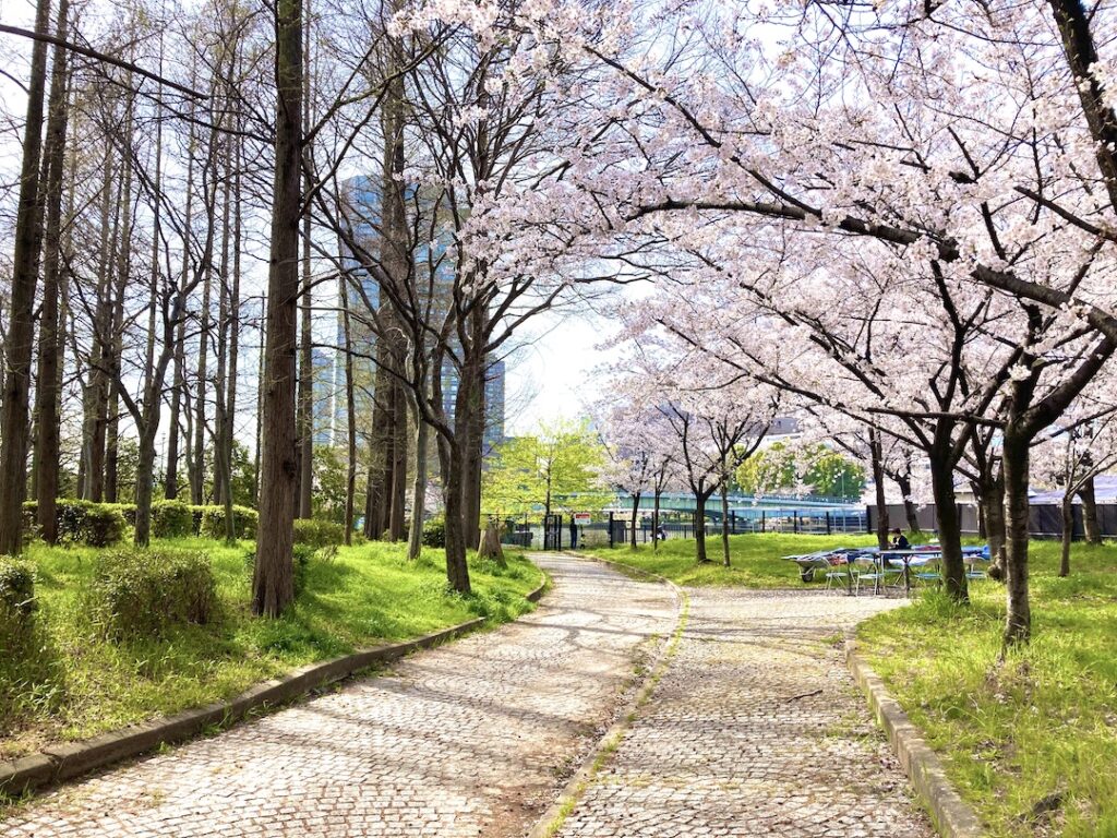 毛馬桜之宮公園